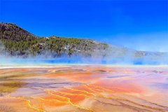 五行属火属牛适合佩戴玉石吗？运势与吉祥物详解
