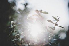 五行属土属虎适宜创业的行业有哪些？