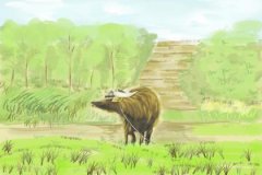 属牛人2024年犯什么_属牛2024年破太岁怎么破解