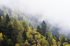 劫财为喜用神走劫财运详解_八字走劫财大运的特点