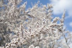 比肩为喜用大运详解_八字喜金水走什么大运好