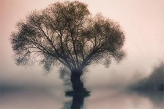七杀合财为喜用，解读命理寓意与运势发展